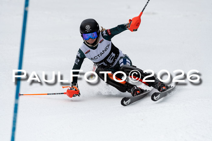 FIS Slalom + NJC Damen + FIS Herren 13.02.2026