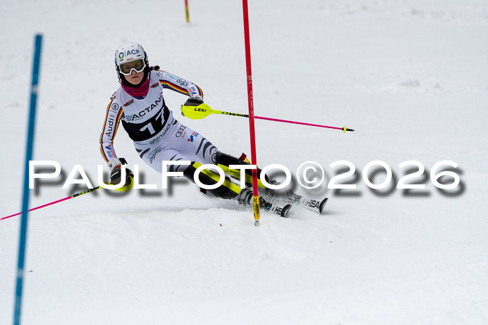 FIS Slalom + NJC Damen + FIS Herren 13.02.2026