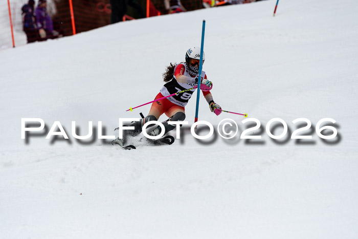 FIS Slalom + NJC Damen + FIS Herren 13.02.2026