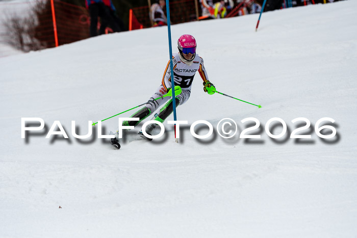 FIS Slalom + NJC Damen + FIS Herren 13.02.2026