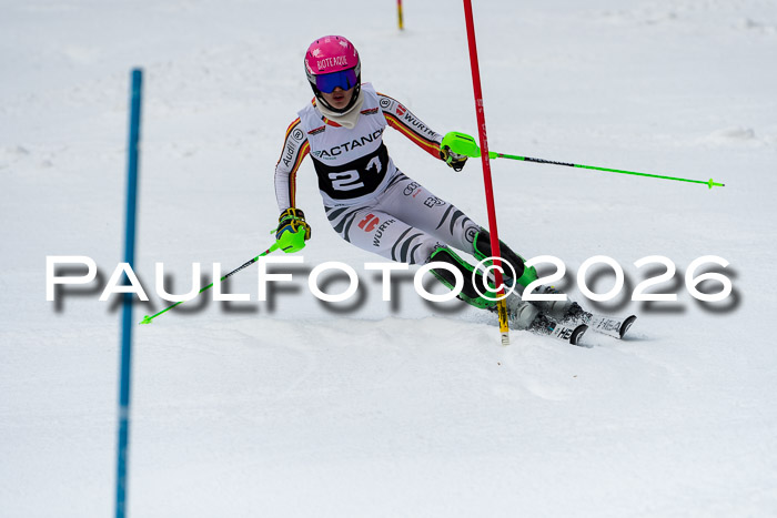 FIS Slalom + NJC Damen + FIS Herren 13.02.2026