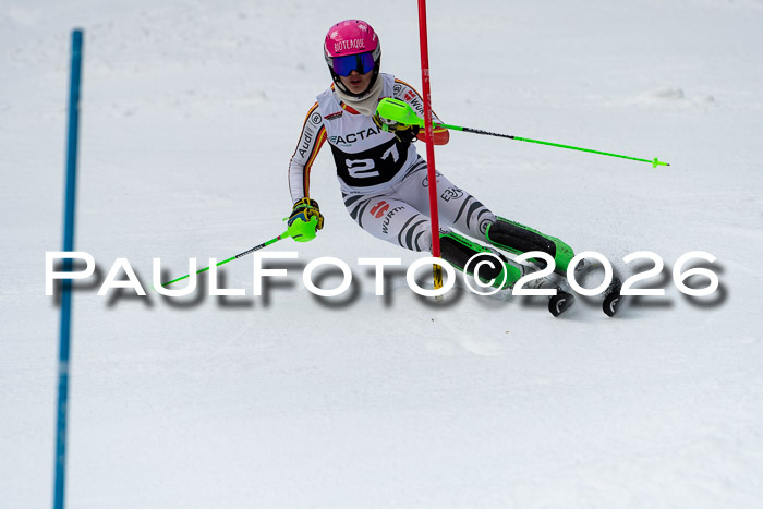 FIS Slalom + NJC Damen + FIS Herren 13.02.2026
