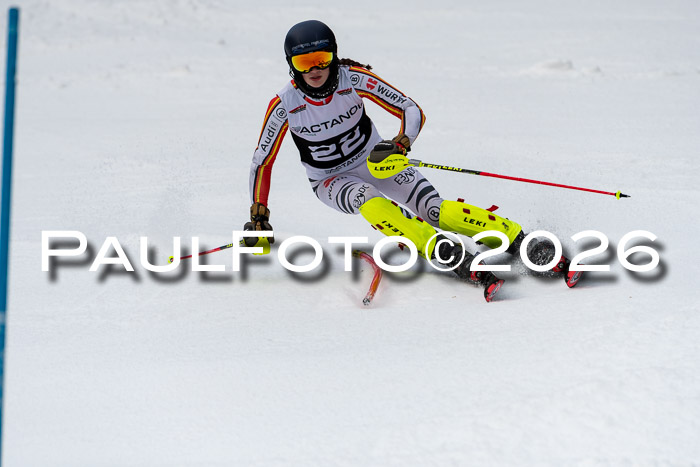 FIS Slalom + NJC Damen + FIS Herren 13.02.2026