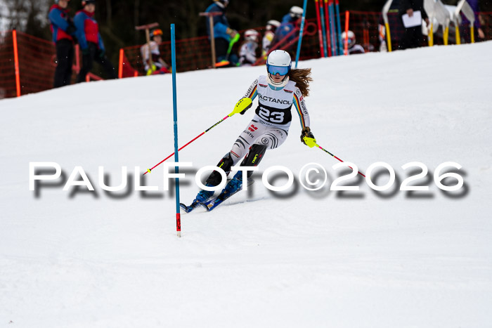 FIS Slalom + NJC Damen + FIS Herren 13.02.2026
