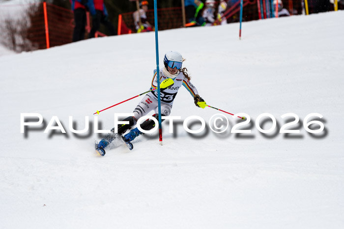 FIS Slalom + NJC Damen + FIS Herren 13.02.2026