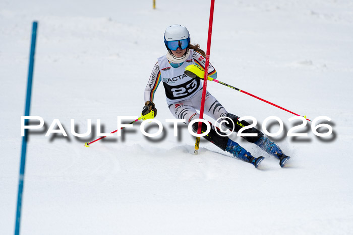FIS Slalom + NJC Damen + FIS Herren 13.02.2026