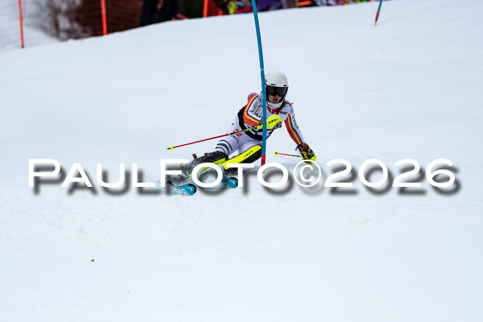 FIS Slalom + NJC Damen + FIS Herren 13.02.2026