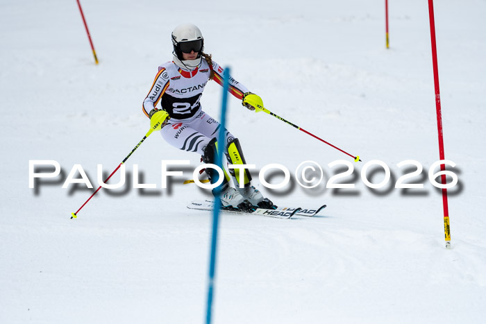 FIS Slalom + NJC Damen + FIS Herren 13.02.2026