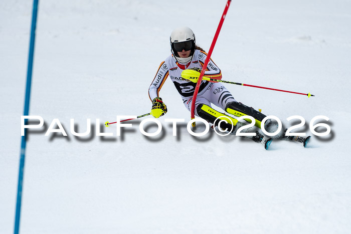 FIS Slalom + NJC Damen + FIS Herren 13.02.2026