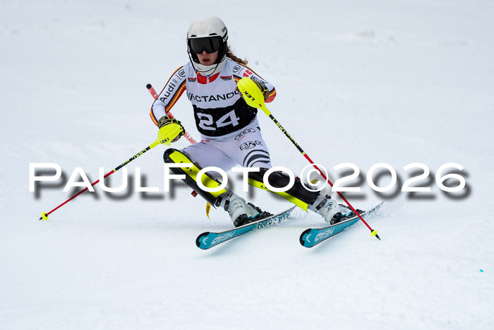 FIS Slalom + NJC Damen + FIS Herren 13.02.2026