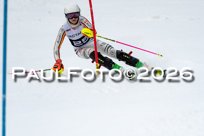 FIS Slalom + NJC Damen + FIS Herren 13.02.2026