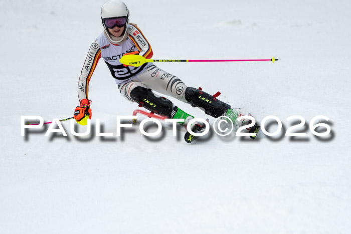 FIS Slalom + NJC Damen + FIS Herren 13.02.2026
