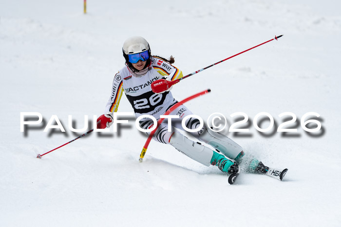 FIS Slalom + NJC Damen + FIS Herren 13.02.2026