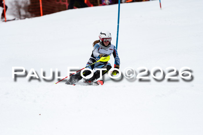 FIS Slalom + NJC Damen + FIS Herren 13.02.2026