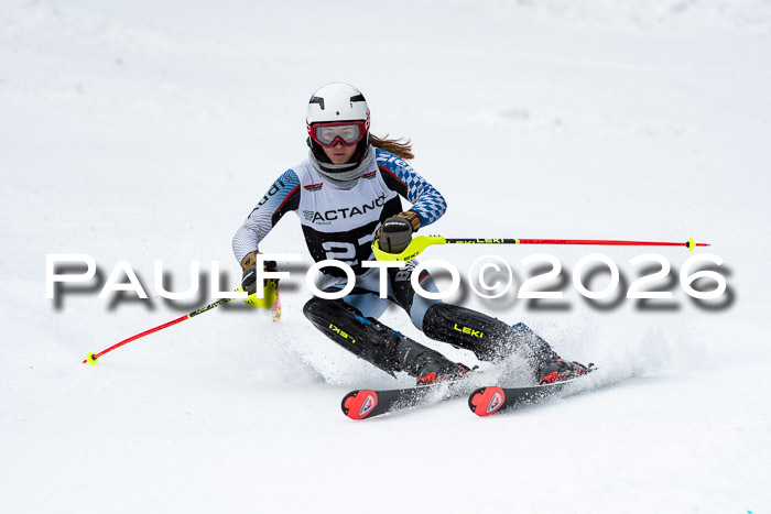 FIS Slalom + NJC Damen + FIS Herren 13.02.2026