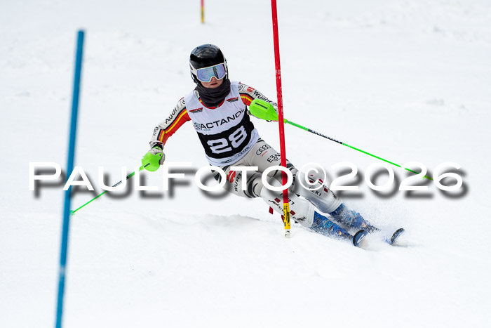 FIS Slalom + NJC Damen + FIS Herren 13.02.2026