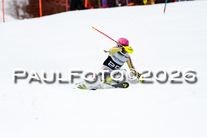FIS Slalom + NJC Damen + FIS Herren 13.02.2026
