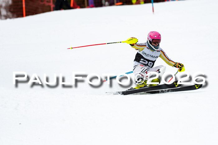 FIS Slalom + NJC Damen + FIS Herren 13.02.2026