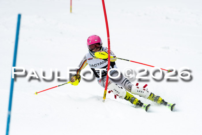 FIS Slalom + NJC Damen + FIS Herren 13.02.2026