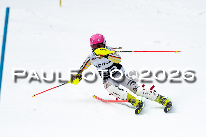 FIS Slalom + NJC Damen + FIS Herren 13.02.2026