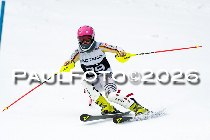 FIS Slalom + NJC Damen + FIS Herren 13.02.2026