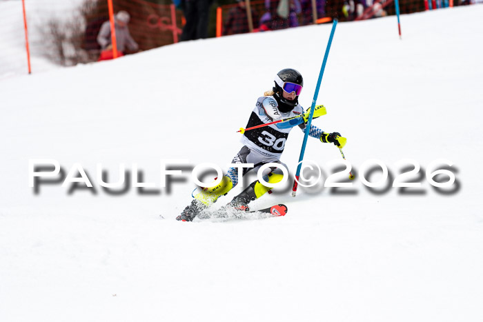 FIS Slalom + NJC Damen + FIS Herren 13.02.2026