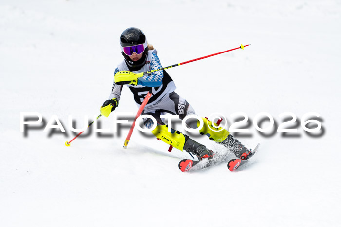 FIS Slalom + NJC Damen + FIS Herren 13.02.2026