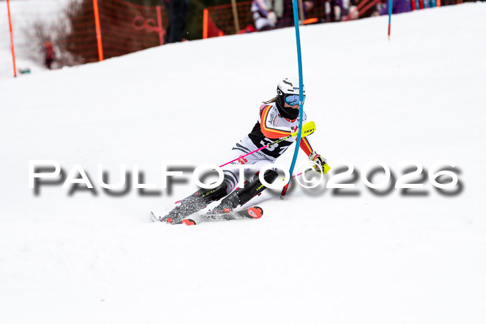 FIS Slalom + NJC Damen + FIS Herren 13.02.2026