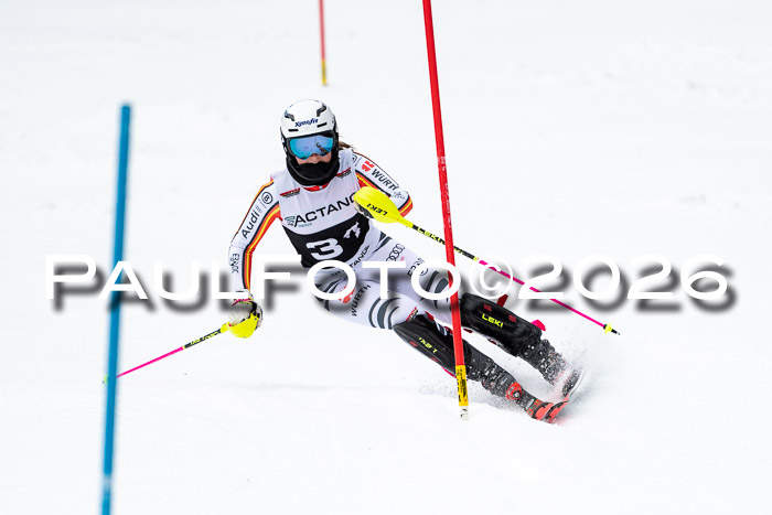 FIS Slalom + NJC Damen + FIS Herren 13.02.2026