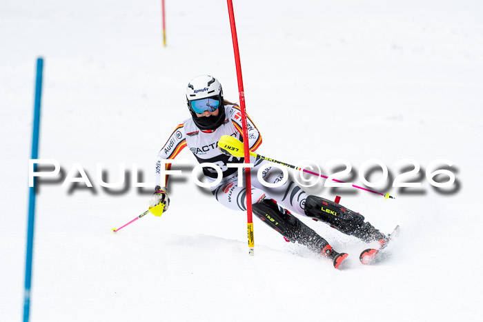 FIS Slalom + NJC Damen + FIS Herren 13.02.2026