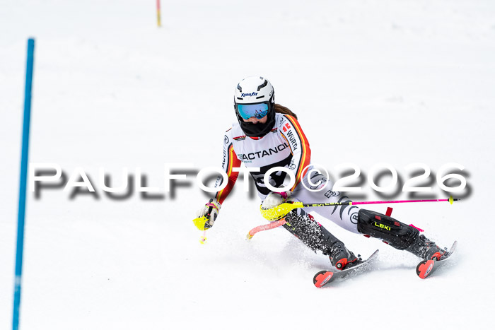 FIS Slalom + NJC Damen + FIS Herren 13.02.2026