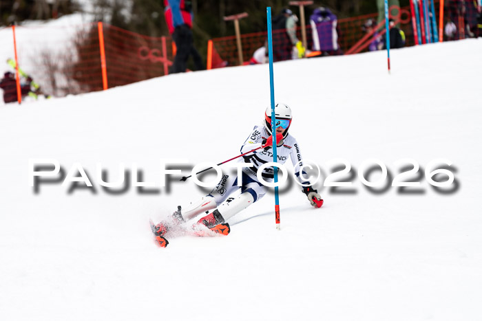 FIS Slalom + NJC Damen + FIS Herren 13.02.2026