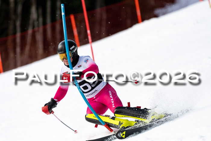FIS Slalom + NJC Damen + FIS Herren 13.02.2026