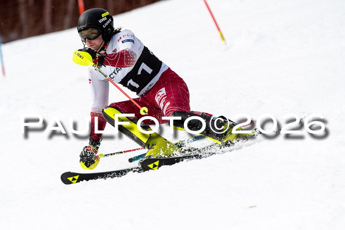 FIS Slalom + NJC Damen + FIS Herren 13.02.2026
