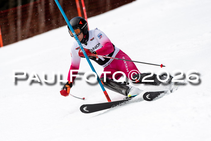 FIS Slalom + NJC Damen + FIS Herren 13.02.2026