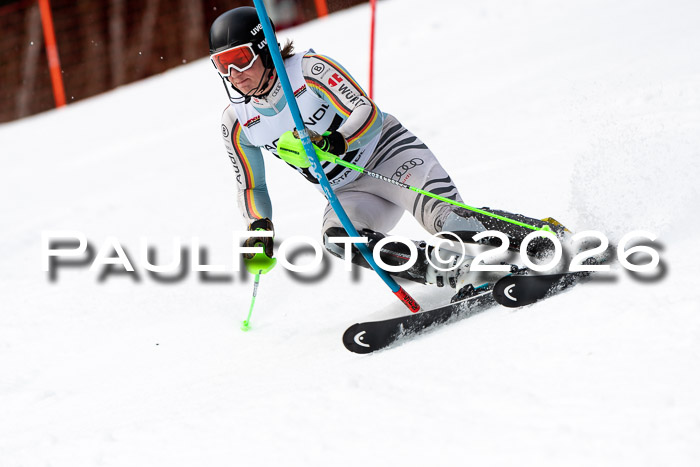 FIS Slalom + NJC Damen + FIS Herren 13.02.2026