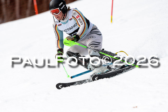 FIS Slalom + NJC Damen + FIS Herren 13.02.2026