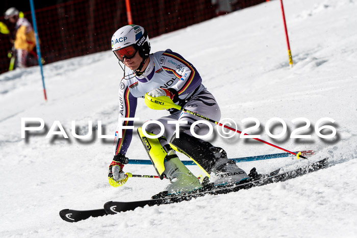 FIS Slalom + NJC Damen + FIS Herren 13.02.2026
