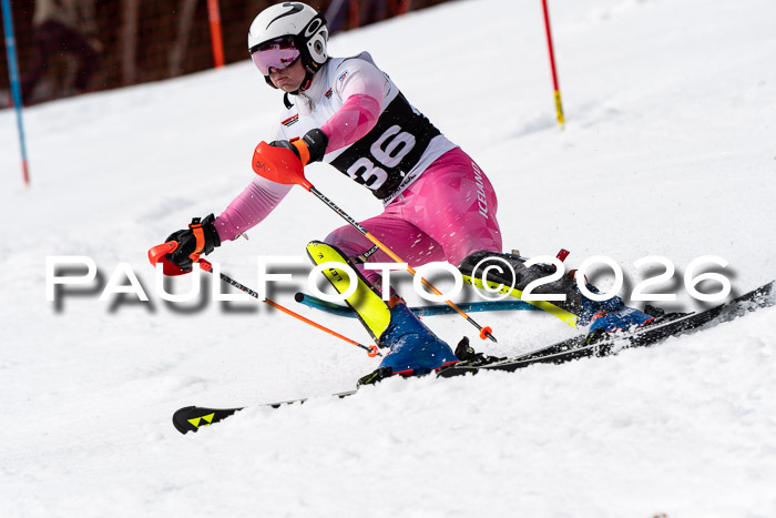 FIS Slalom + NJC Damen + FIS Herren 13.02.2026