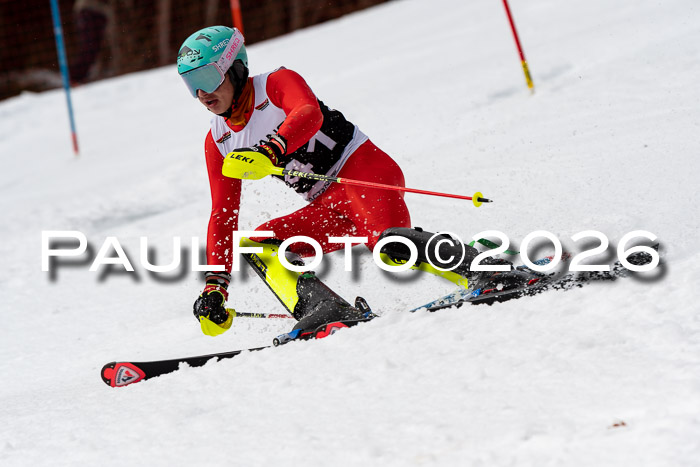 FIS Slalom + NJC Damen + FIS Herren 13.02.2026