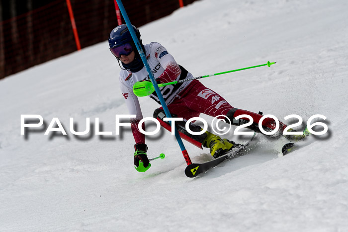 FIS Slalom + NJC Damen + FIS Herren 13.02.2026
