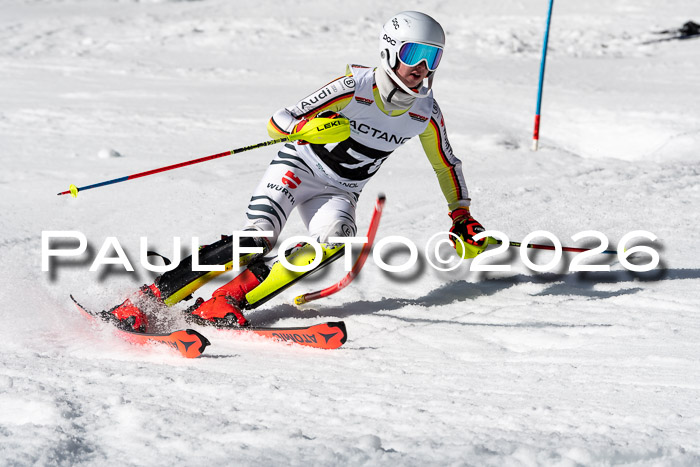 FIS Slalom + NJC Damen + FIS Herren 13.02.2026