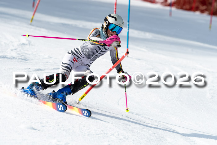 FIS Slalom + NJC Damen + FIS Herren 13.02.2026