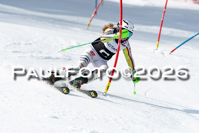 FIS Slalom + NJC Damen + FIS Herren 13.02.2026
