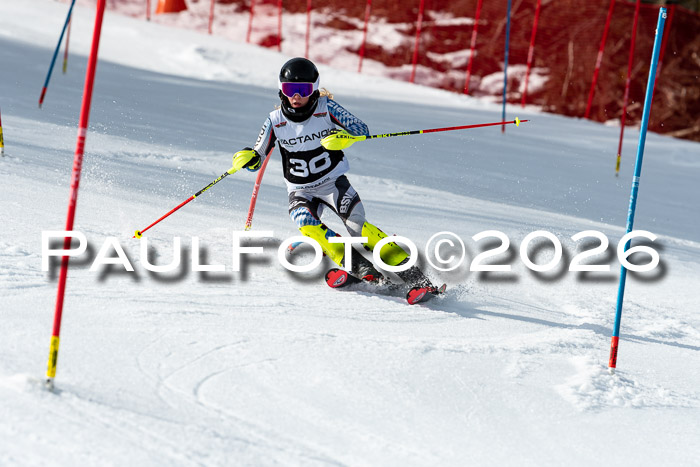FIS Slalom + NJC Damen + FIS Herren 13.02.2026