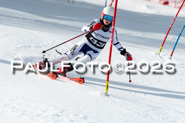 FIS Slalom + NJC Damen + FIS Herren 13.02.2026