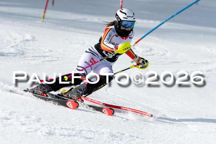 FIS Slalom + NJC Damen + FIS Herren 13.02.2026