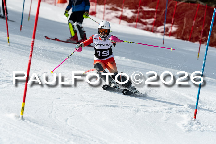 FIS Slalom + NJC Damen + FIS Herren 13.02.2026
