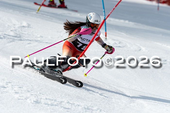 FIS Slalom + NJC Damen + FIS Herren 13.02.2026