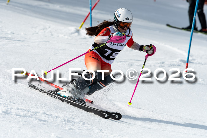 FIS Slalom + NJC Damen + FIS Herren 13.02.2026